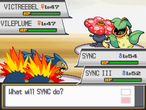 Sync and Sync III together in a double battle at the Celadon gym